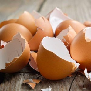 Tipy a triky YouCook: Skořápky v jídle