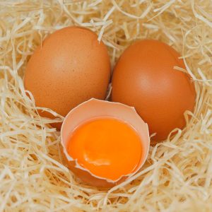Tipy a triky YouCook: Test čerstvosti vajec