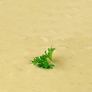 Recept YouCook Celerová omáčka