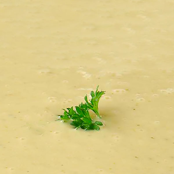 Recept YouCook Celerová omáčka